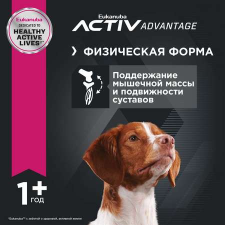 Корм Eukanuba Dog 15кг для взрослых собак средних пород сухой