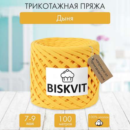 Трикотажная пряжа BISKVIT Дыня