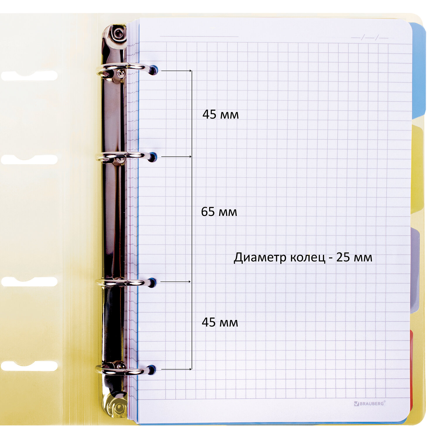 Тетрадь на кольцах Brauberg А5 со сменным блоком 120 листов с разделителями - фото 4