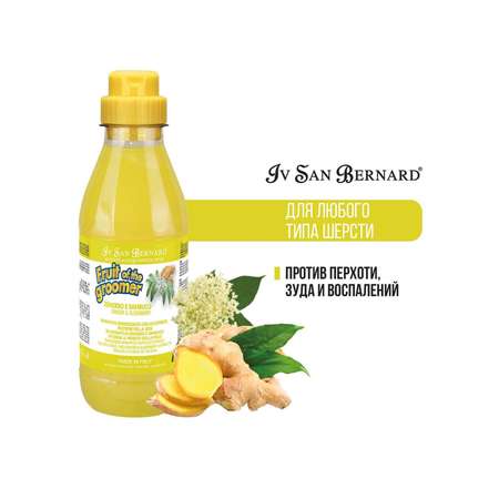 Шампунь для кошек и собак Iv San Bernard Fruit of the Groomer Ginger and Elderbery для любого типа шерсти против раздражений и перхоти 500мл