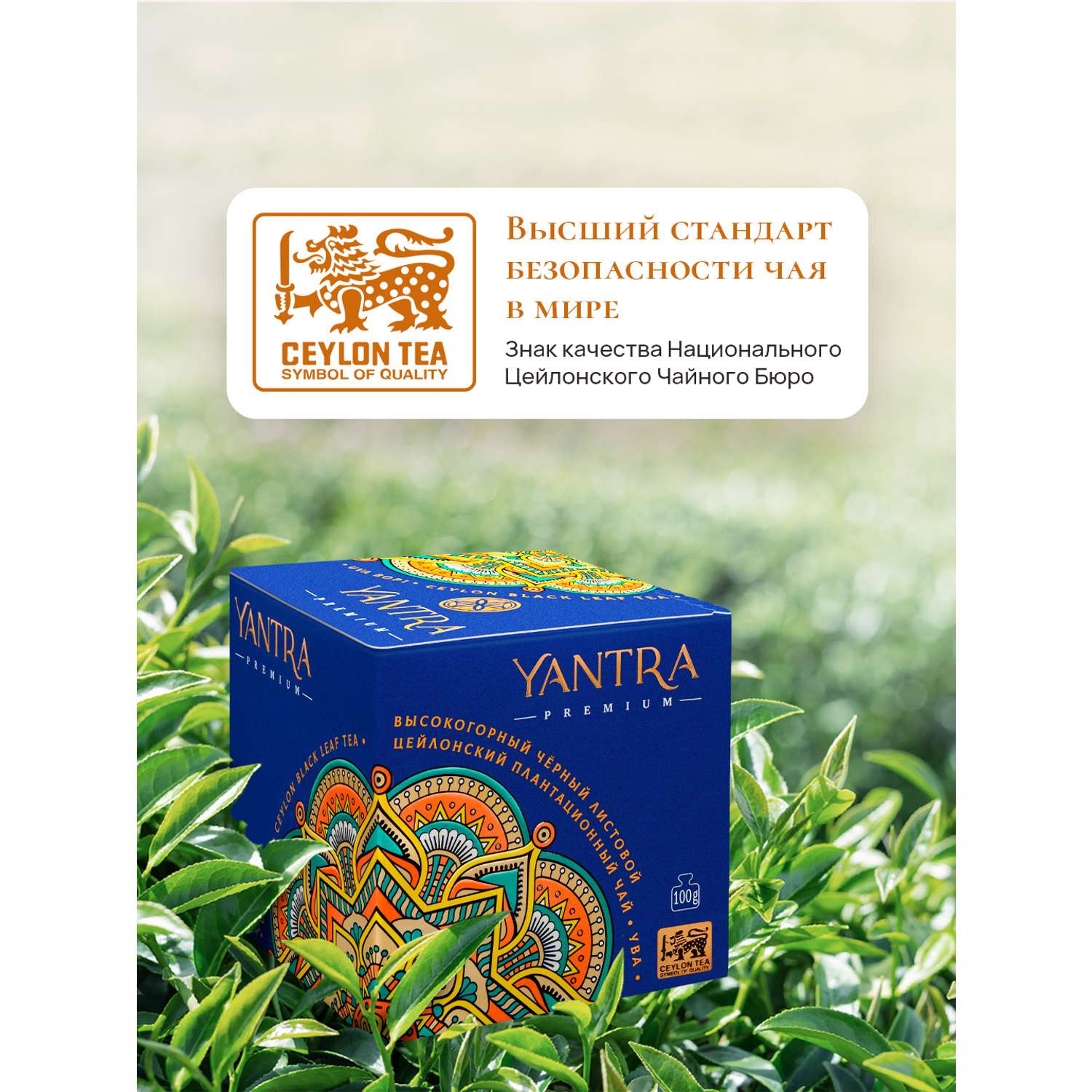 Чай Премиум Yantra чёрный листовой стандарт BOP1 плантация Ува 100 г - фото 2
