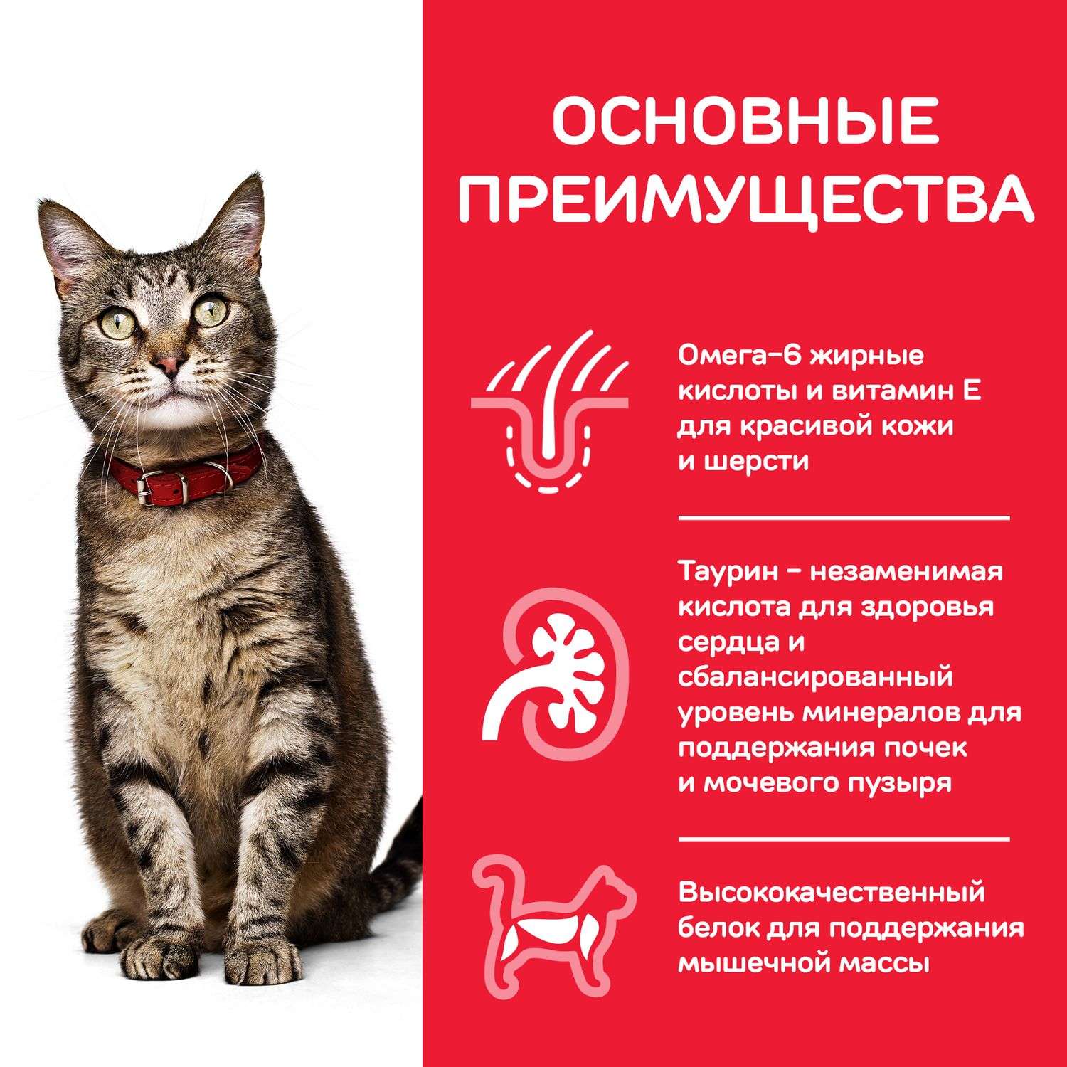 Корм сухой для кошек HILLS 3кг Science Plan с тунцом для поддержания жизненной энергии и иммунитета - фото 5