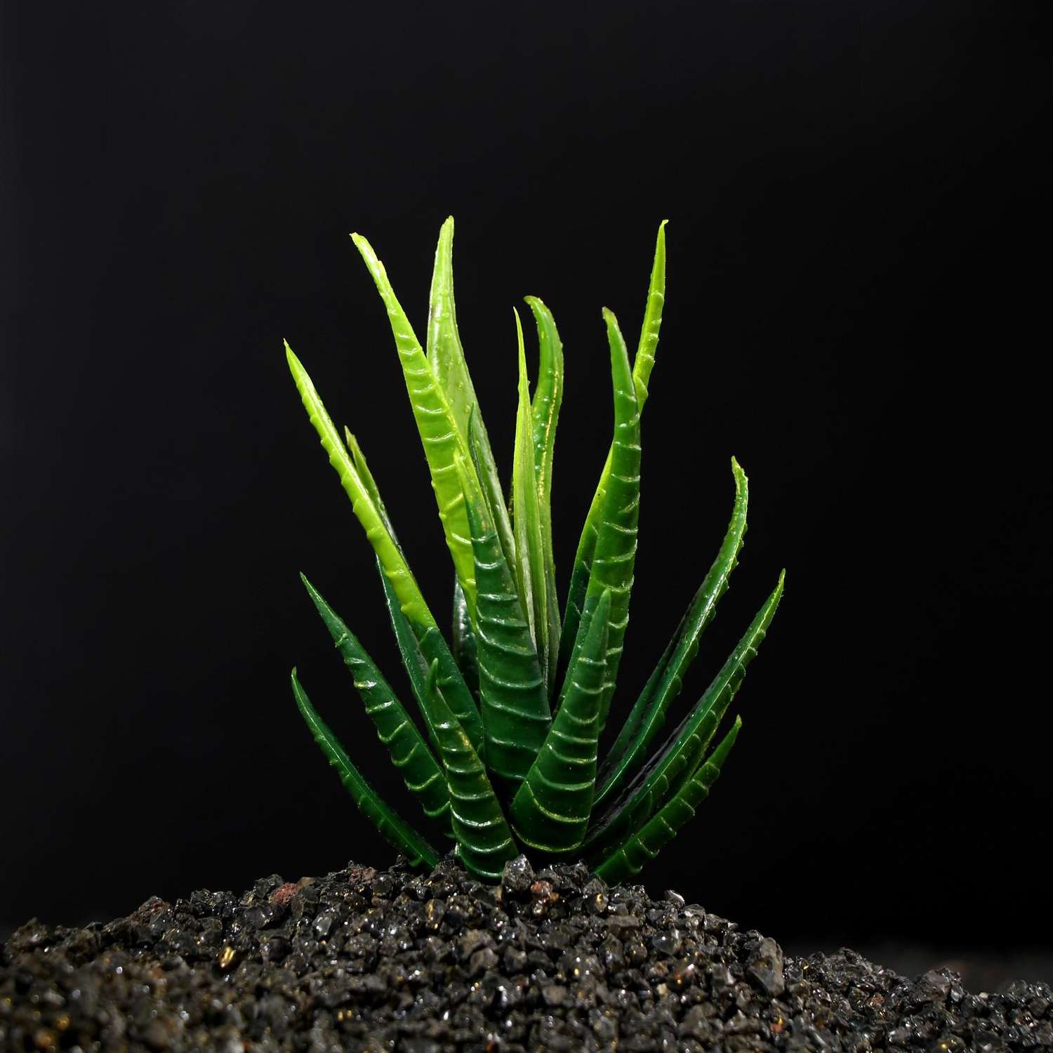 Растение для аквариума Пижон Аква на камне - фото 2