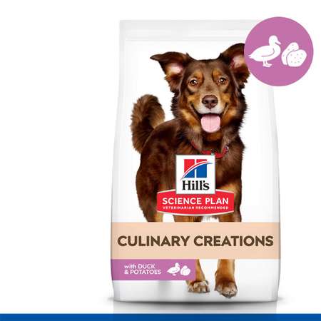 Корм для собак Hills 12кг Science Plan Culinary Creations средних пород для поддержания иммунитета с уткой и картофелем