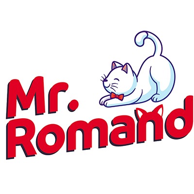 Mr. Romand
