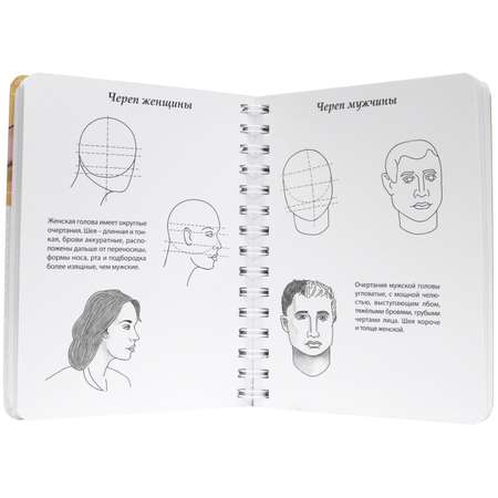 Скетчбук Проф-Пресс А5 уроки рисования по шагам Анатомия человека