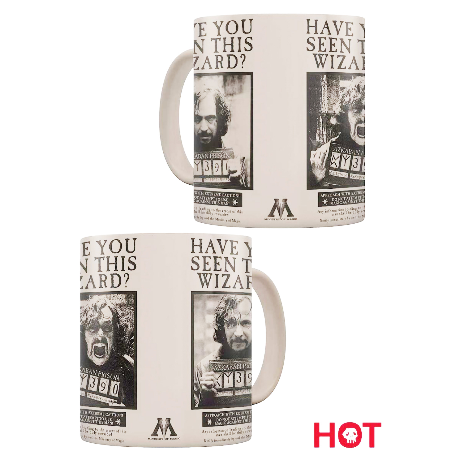 Кружка Pyramid Harry Potter Heat Changing Mug 315ml SCMG25012 - фото 5