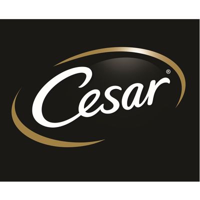 Cesar