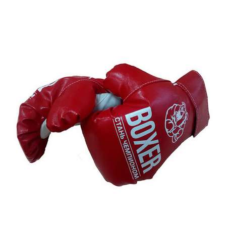 Боксерские перчатки ПК Лидер мт51536