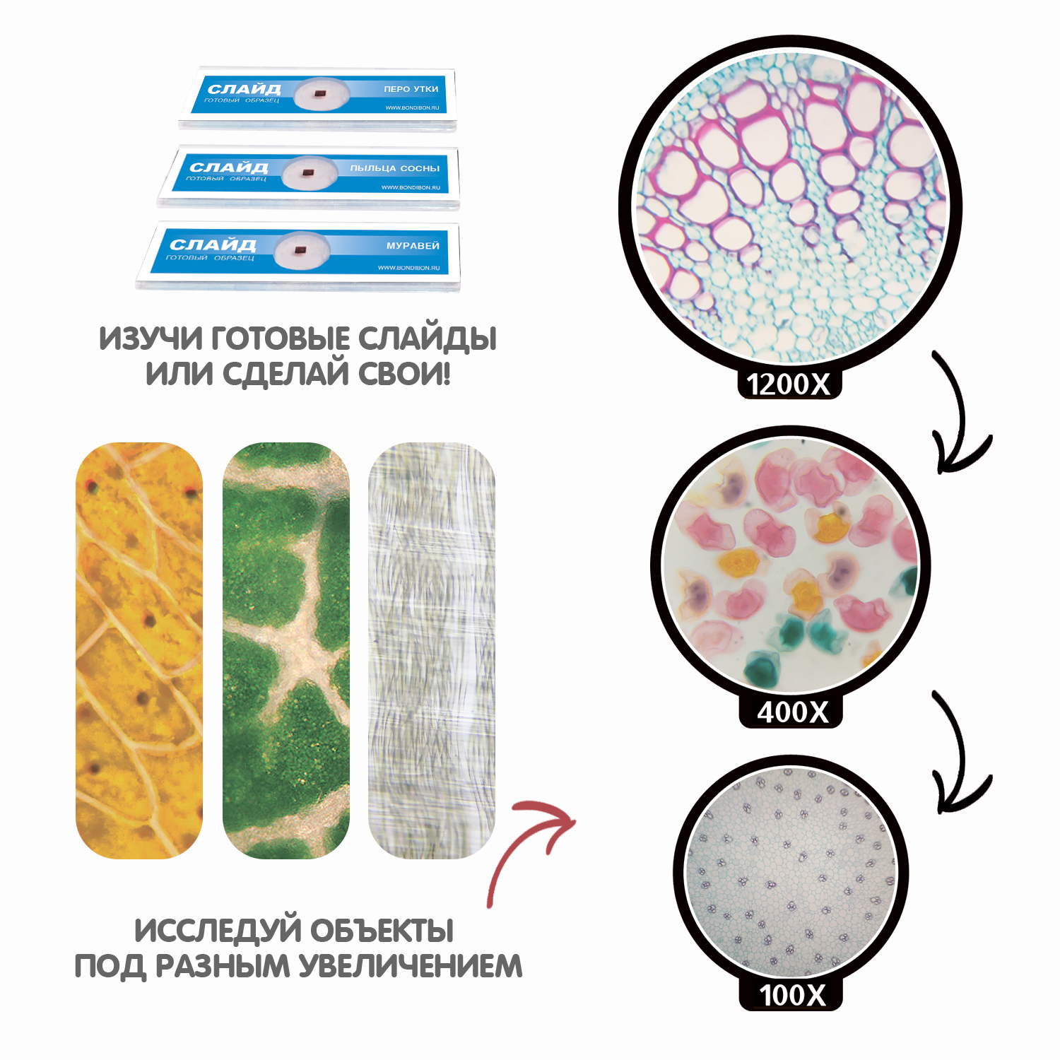 Набор для опытов BONDIBON Науки с Буки Микроскоп с увеличением - фото 6