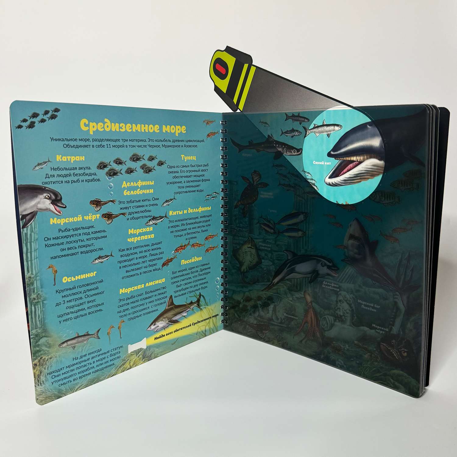 Детская книга BimBiMon с фонариком Кто живёт под водой? - фото 8
