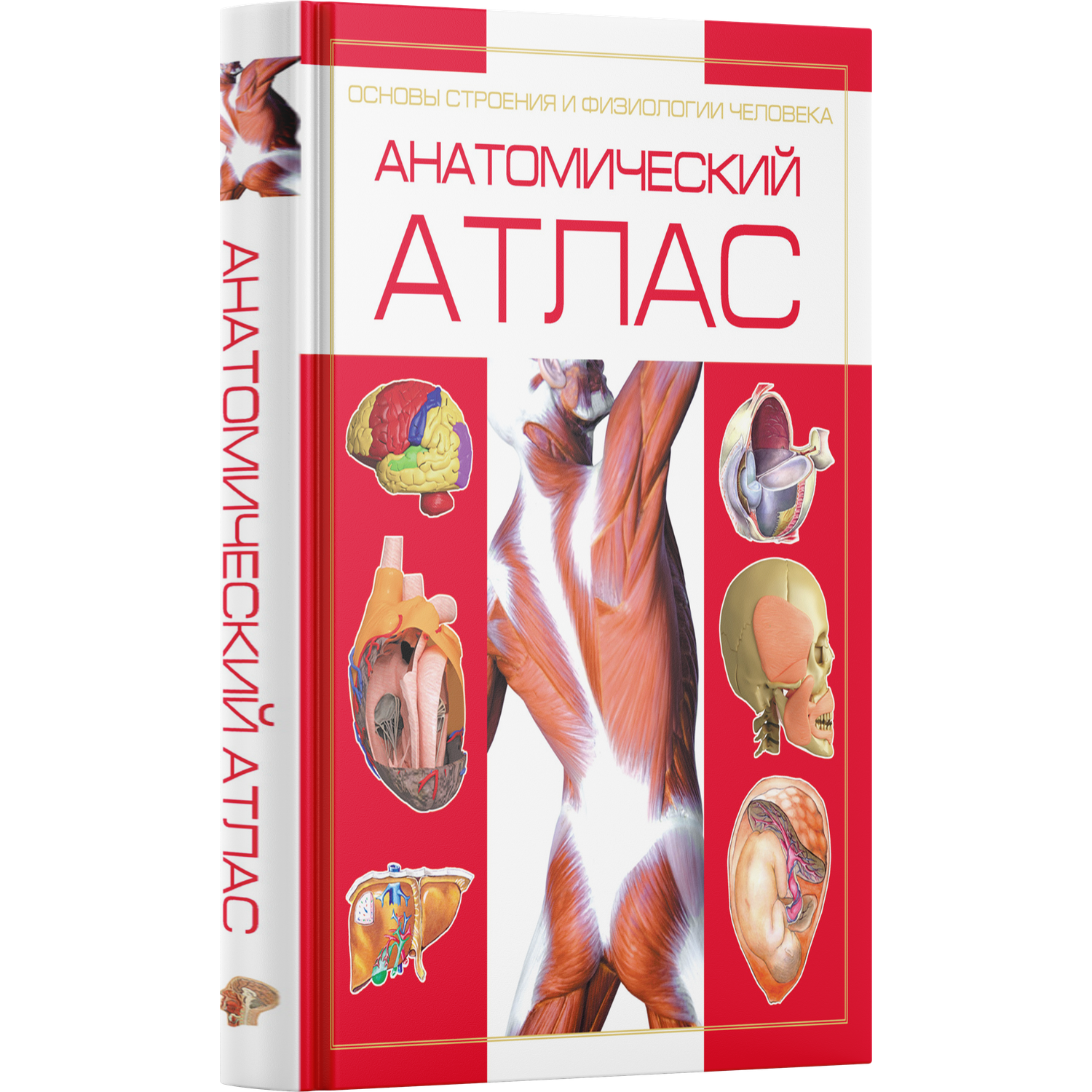 Книга Харвест Книга Атлас анатомии человека Основы строения и физиологии тела - фото 1