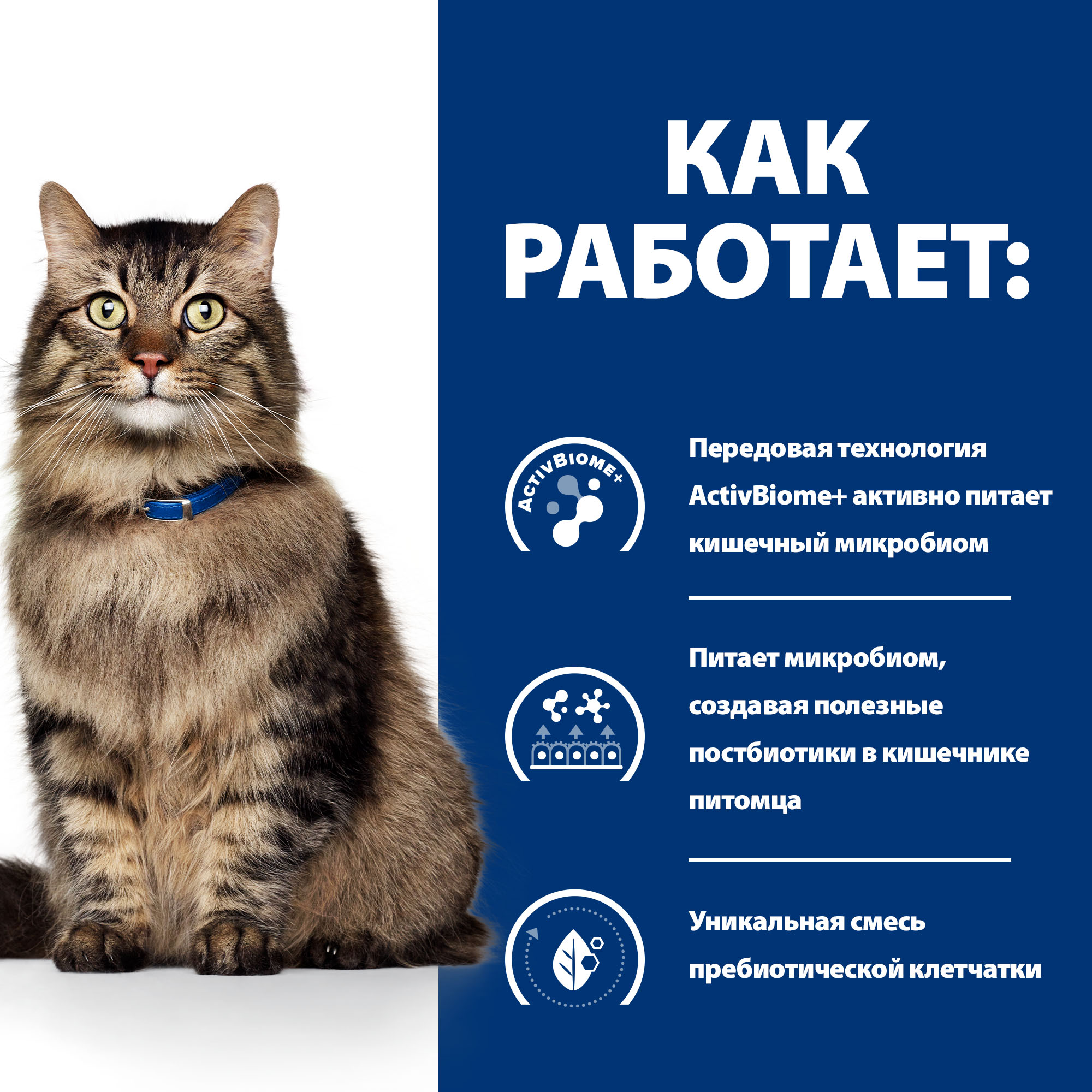 Корм для кошек Hills 3кг Prescription Diet Gastrointestinal Biome при расстройствах пищеварения с курицей - фото 4