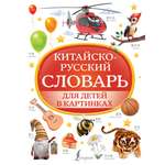 Книги АСТ Китайско-русский словарь для детей в картинках