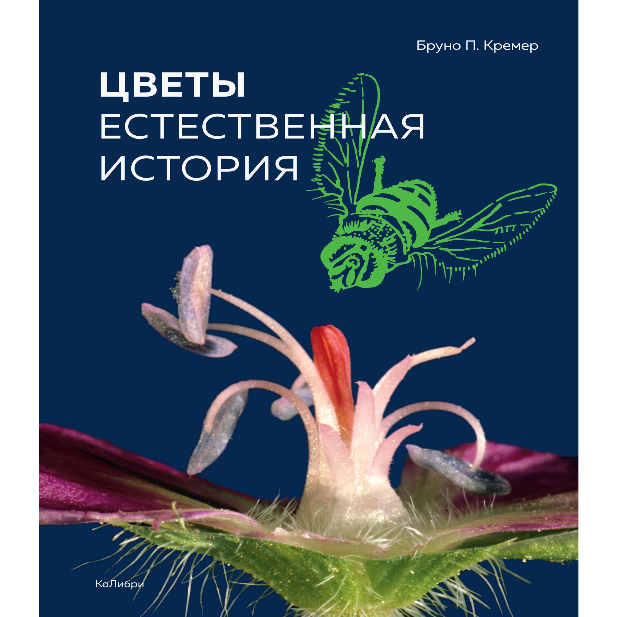 Книга КОЛИБРИ Цветы. Естественная история Кремер Б.П. Серия: Новый  натуралист