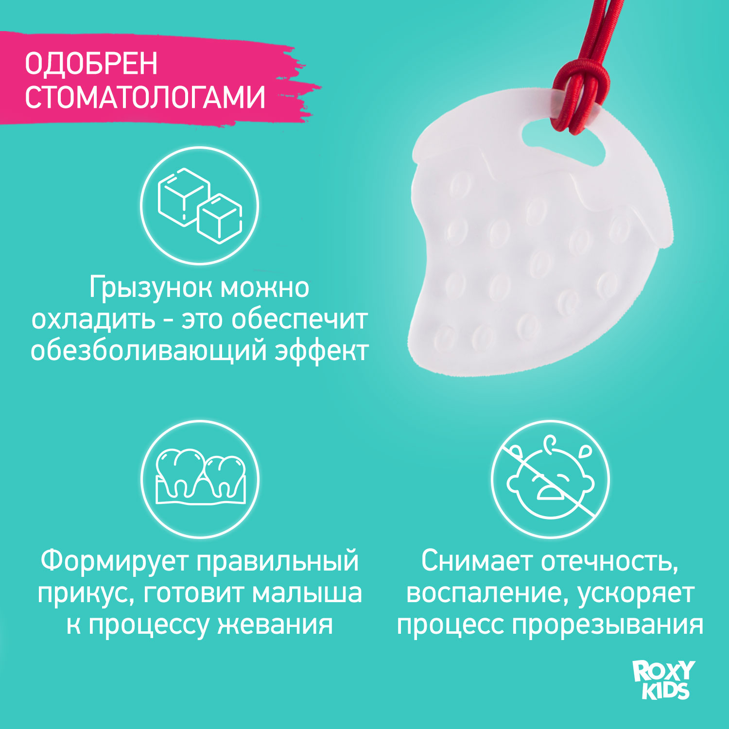 Прорезыватель для зубов ROXY-KIDS на держателе цвет красный - фото 6