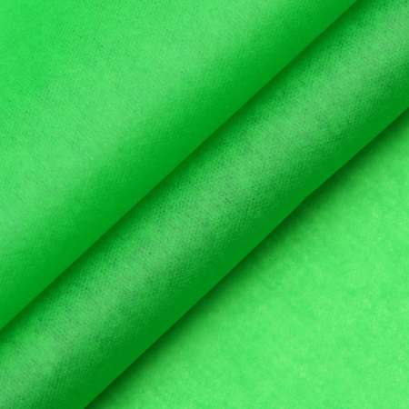 Бумага Astra Craft тишью тонкая для упаковки подарков цветов и творчества 50х70см 5 шт FT-43 зеленый