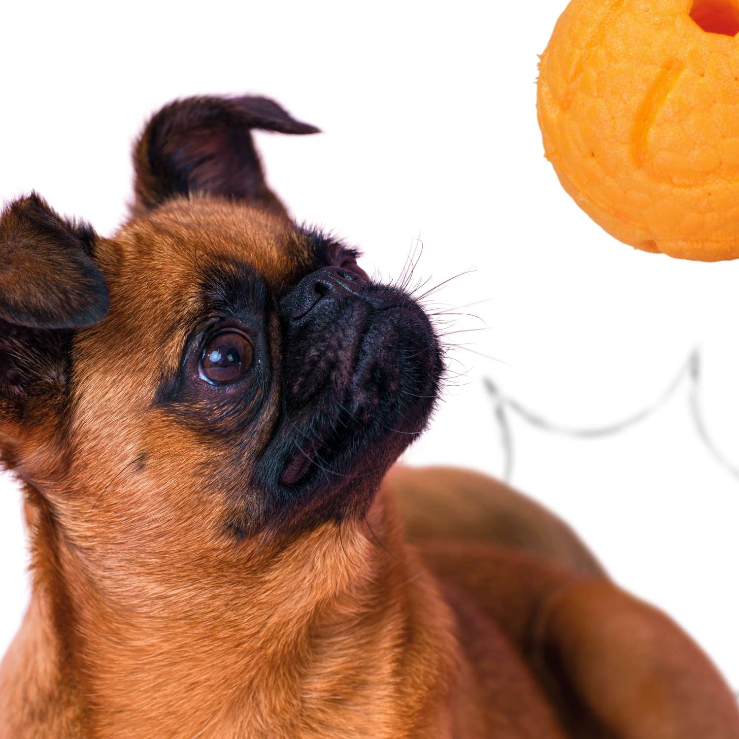 Игрушка для собак Mr.Kranch Мяч 6см Оранжевая - фото 4