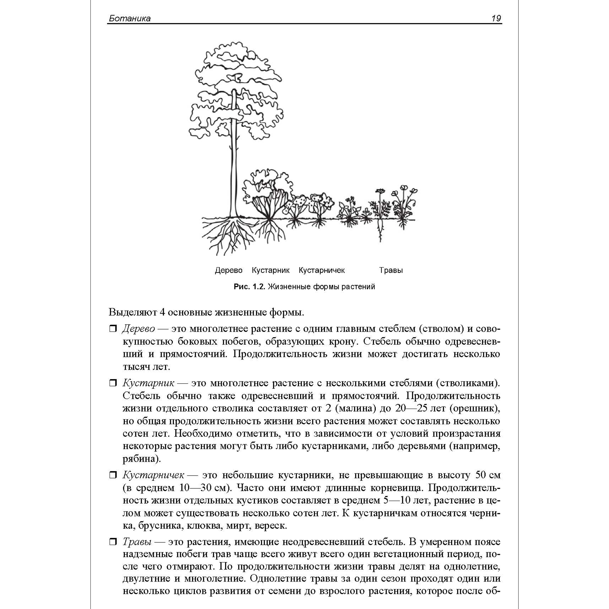 Книга BHV ЕГЭ по биологии. Практическая подготовка. 7-е изд. - фото 4