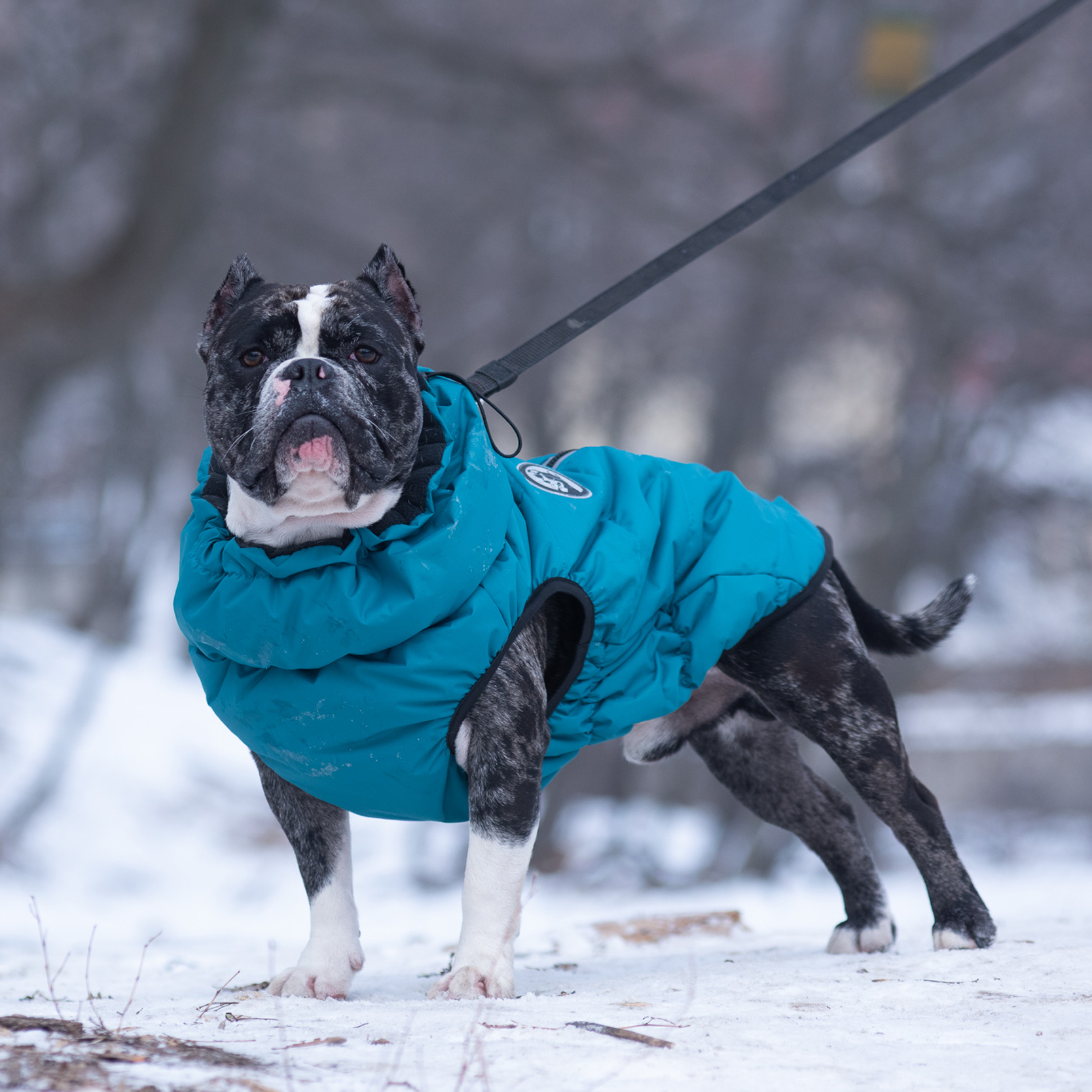 Жилет для собак Rain Dog - фото 4