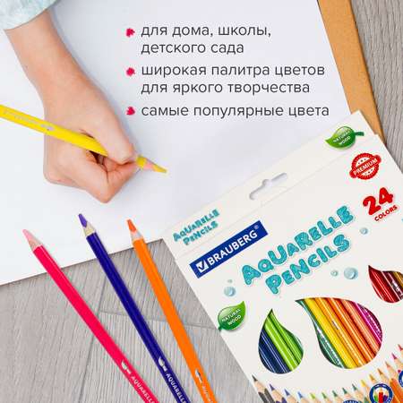 Карандаши цветные Brauberg акварельные Premium Aquarelle 24 шт