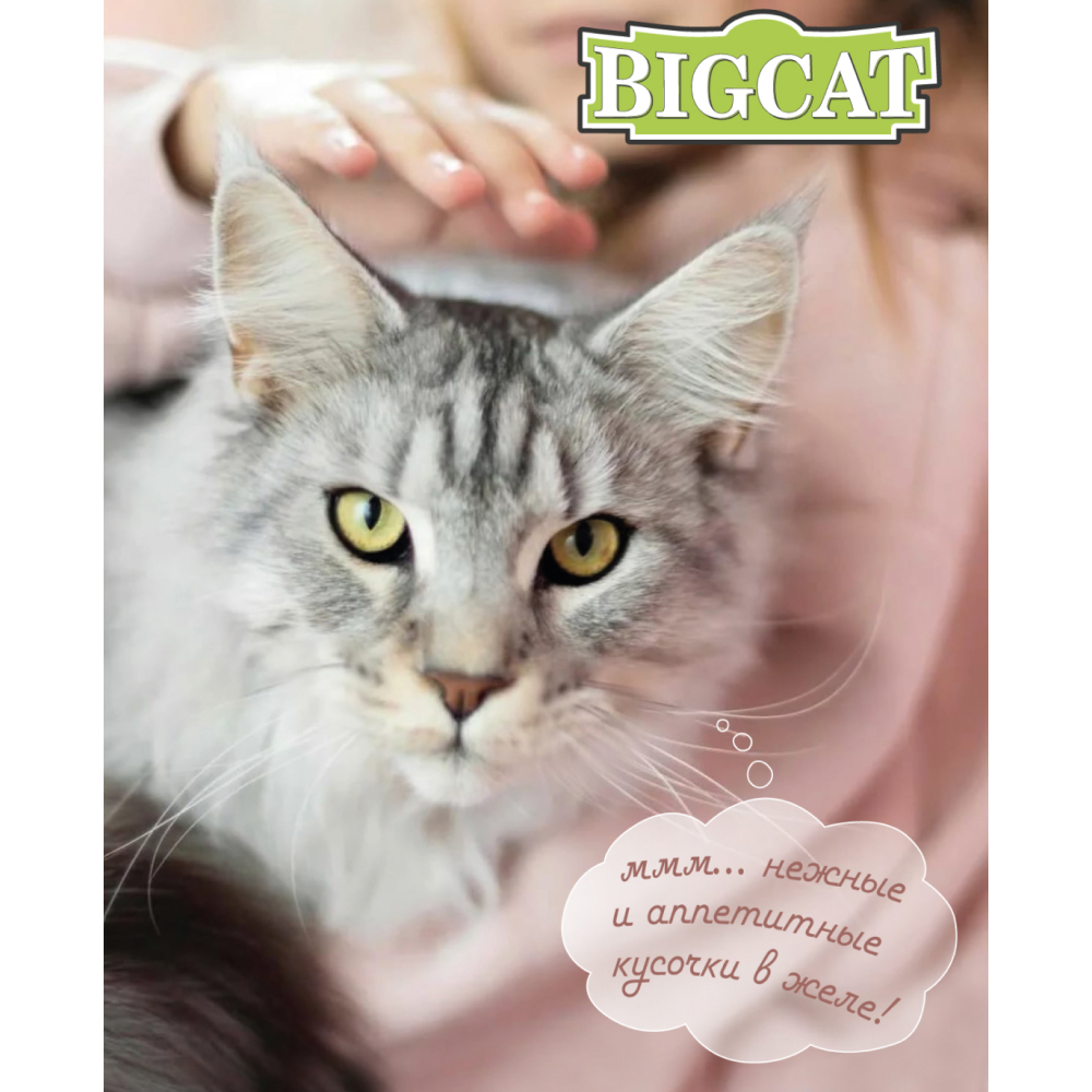 Корм влажный Зоогурман BIG CAT Sterilized с курицей и индейкой 350гр х 12 шт - фото 7