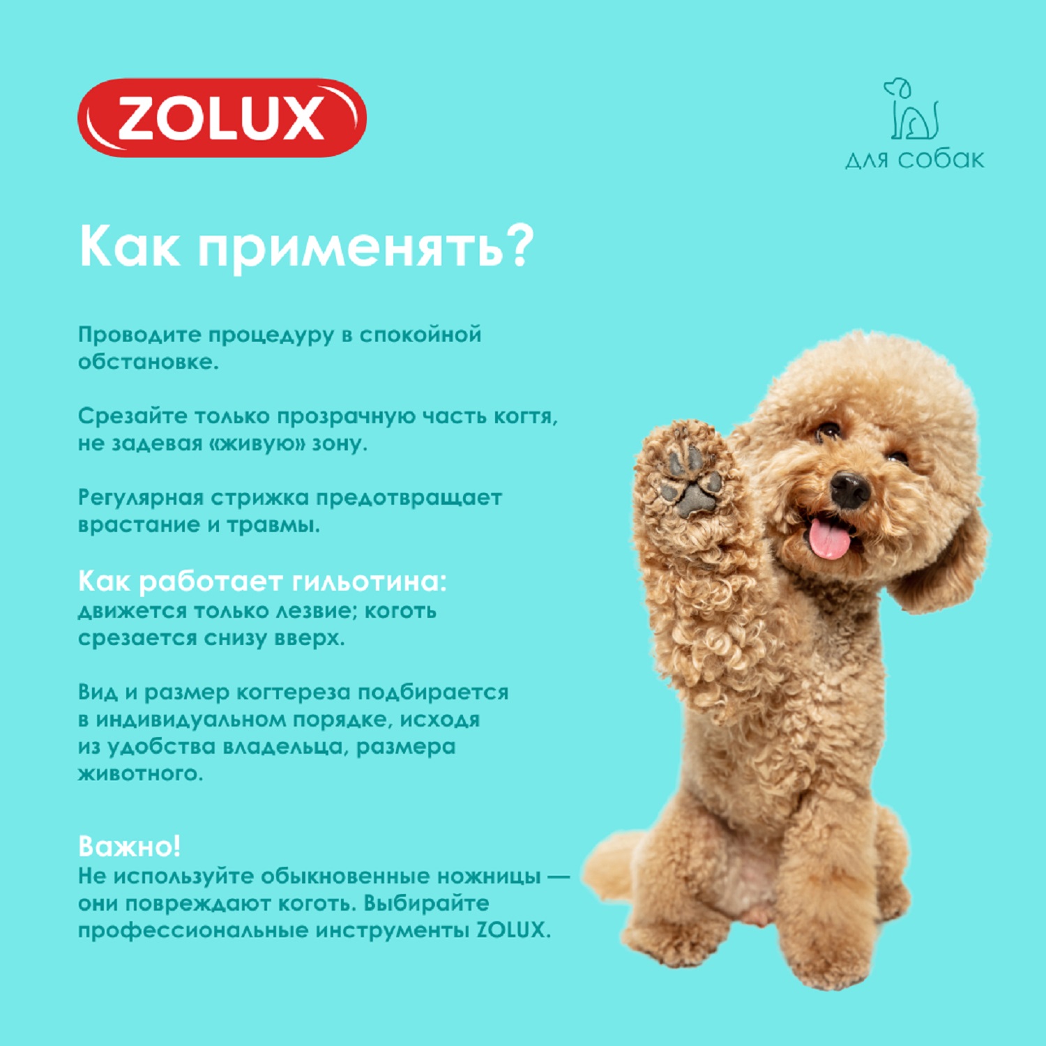 Когтерез-гильотина для собак Zolux для подрезания когтей S - фото 7