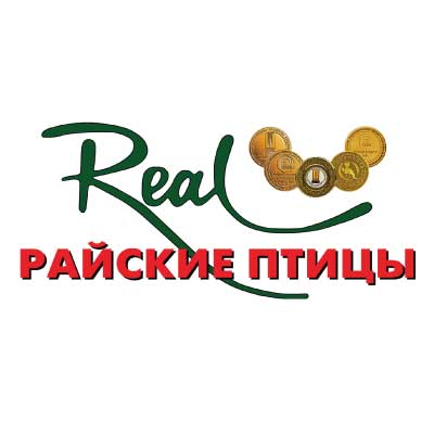 РАЙСКИЕ ПТИЦЫ