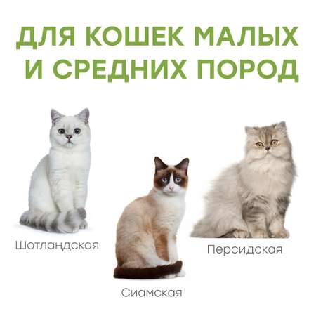Туалет-лоток для кошек Stefan с высоким бортом и совком средний 47х39х19 см бежевый