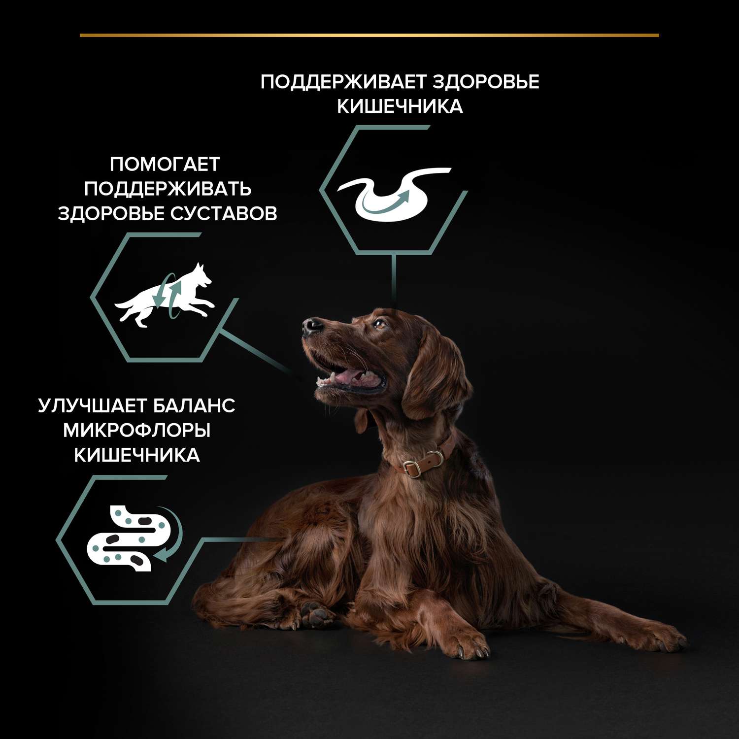 Корм для собак PRO PLAN крупных пород с атлетическим телосложением с чувствительным пищеварением с комплексом Optidigest ягненок с рисом 3кг - фото 5