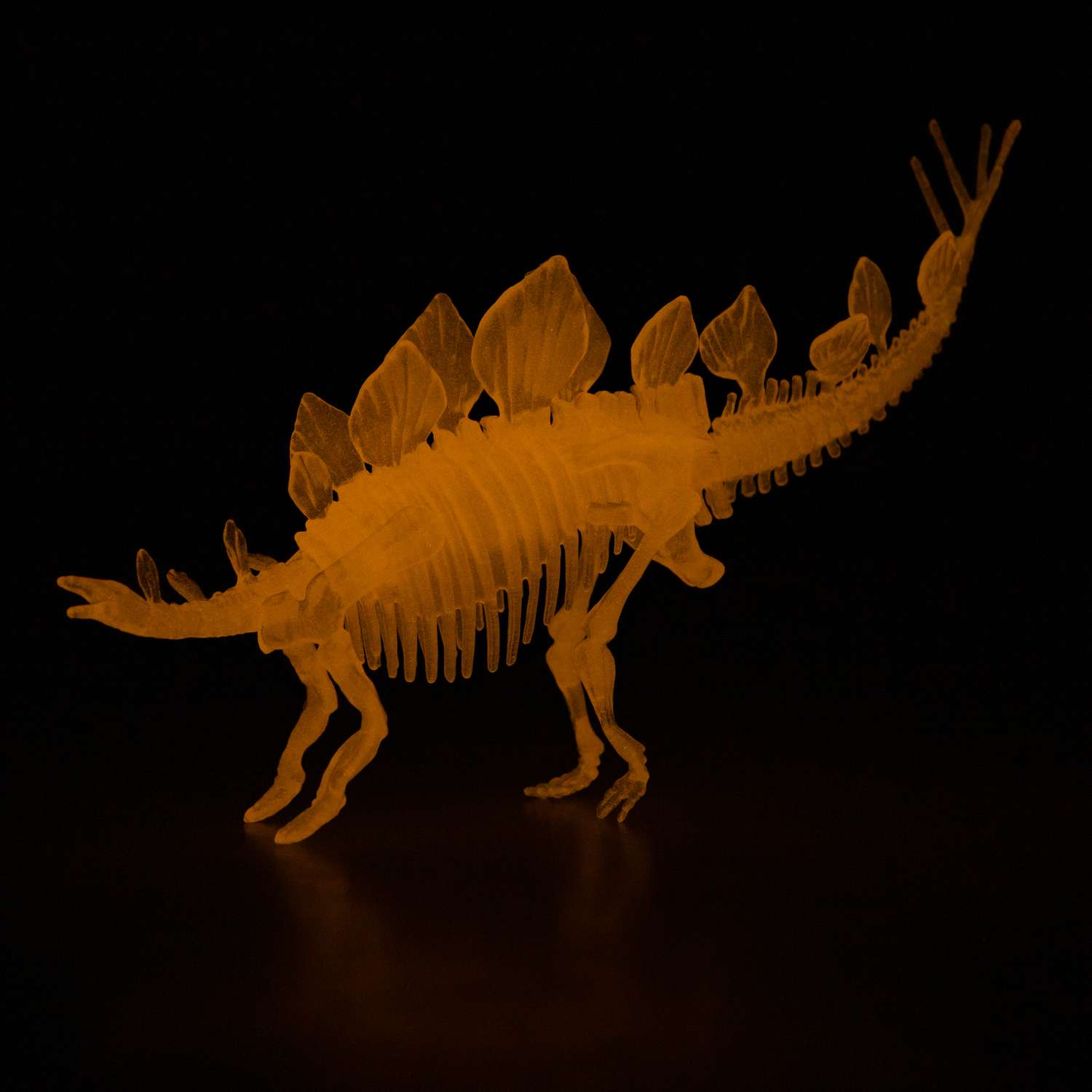 Сборная модель 1TOY 3dino luminus люминисцентный скелет динозавра - фото 2