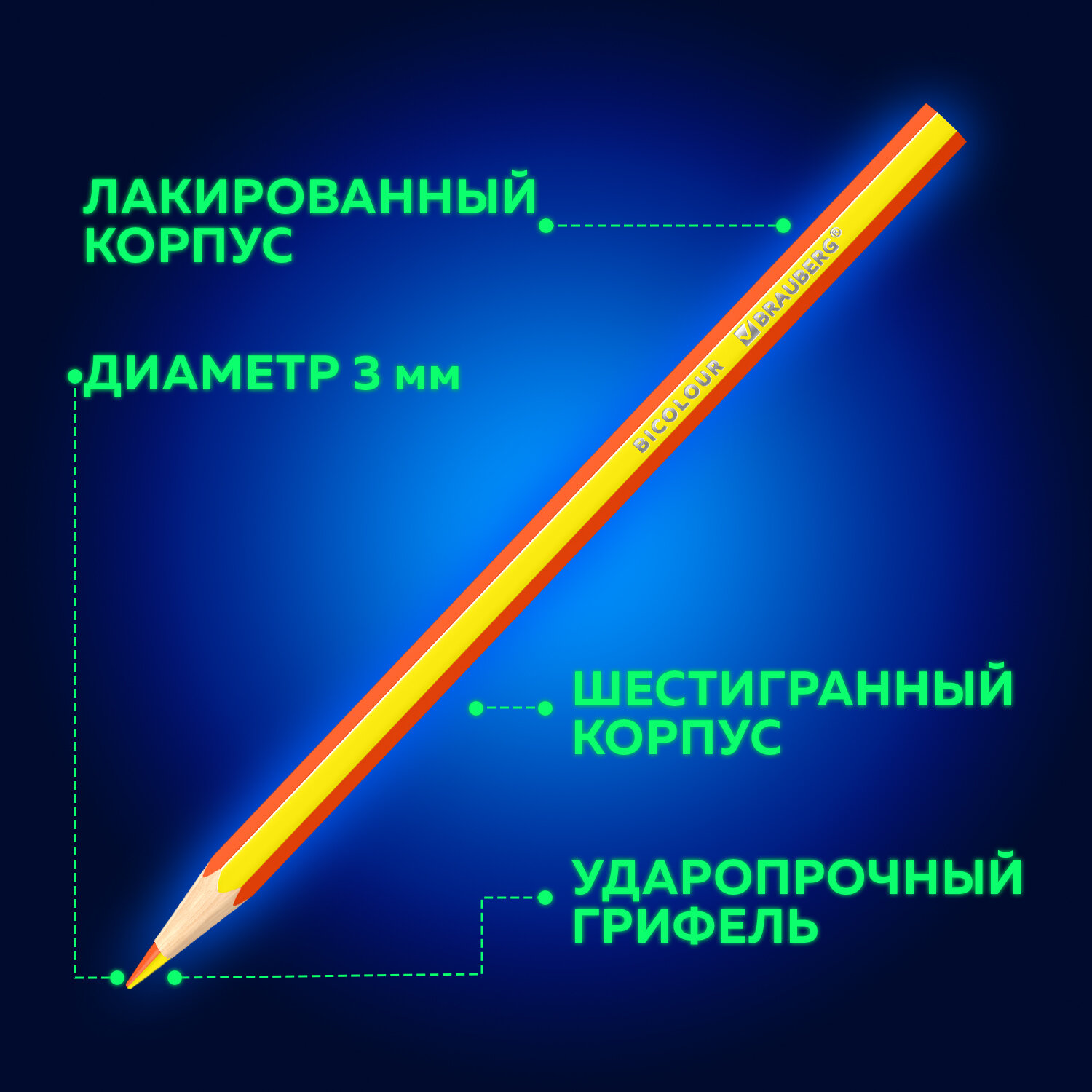 Карандаши цветные Brauberg деревянные цветные для рисования с двухцветным грифелем 24 цвета - фото 5