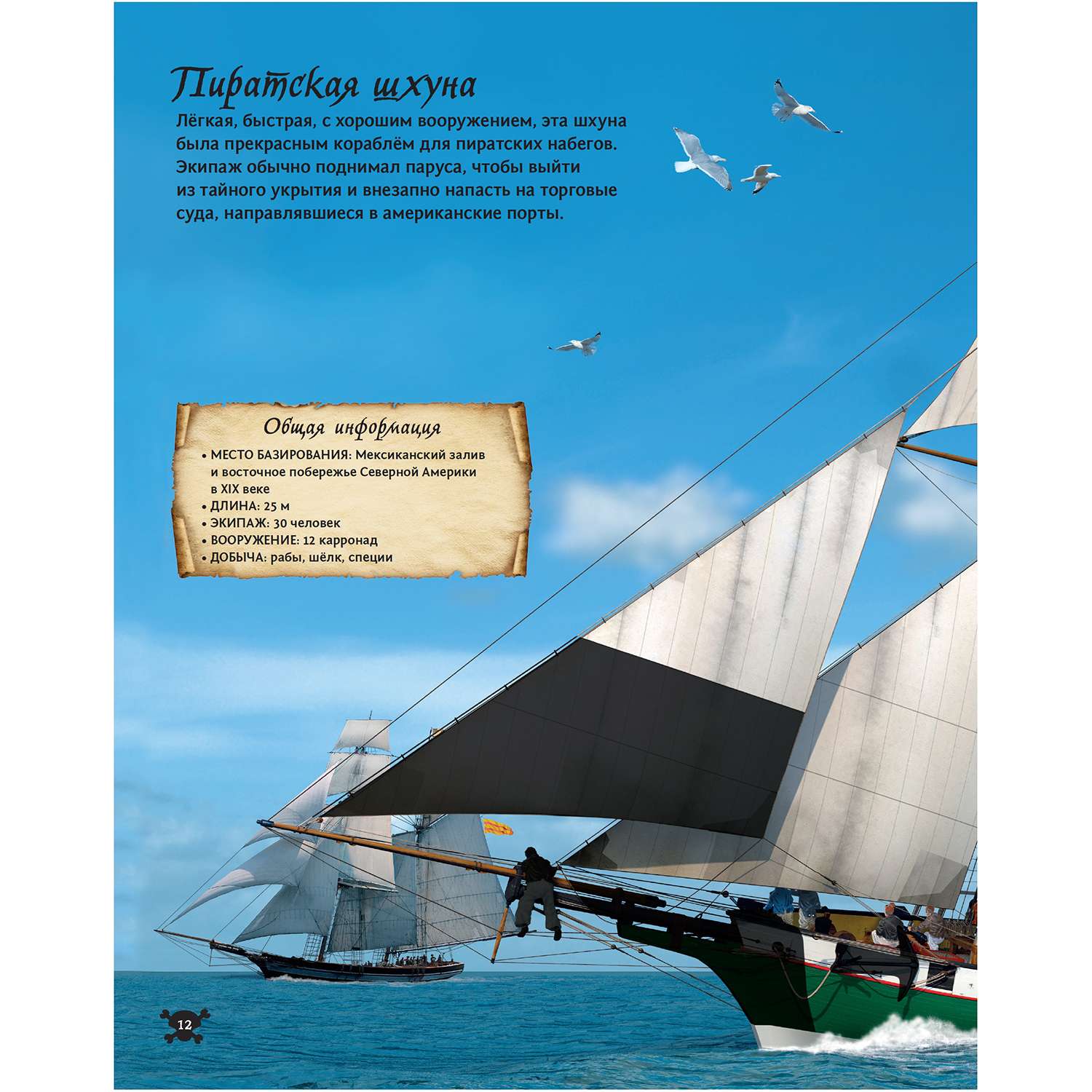 Книга Махаон На абордаж! Пиратские корабли - фото 6