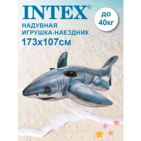 Надувная игрушка INTEX наездник Акула 173х107см 57525NP