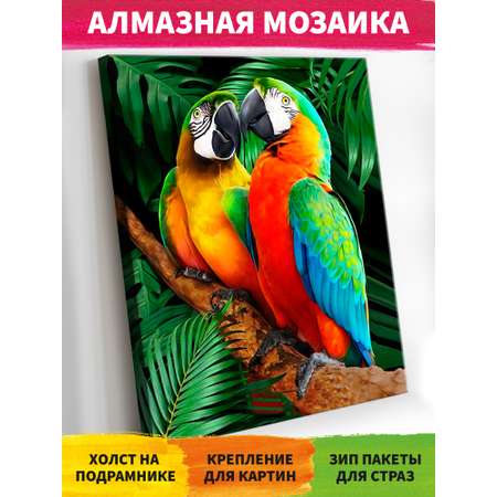 Алмазная мозаика Art on Canvas Попугаи в ассортименте