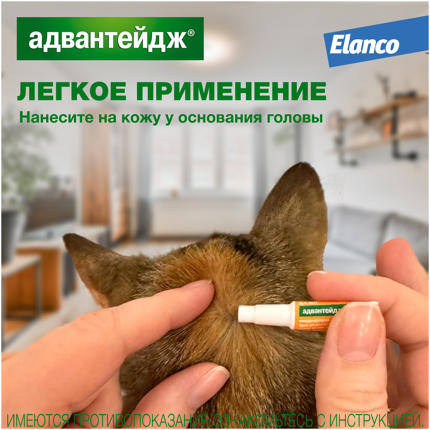 Капли для котят и кошек Elanco Адвантейдж против блох 1пипетка купить по  цене 302 ₽ с доставкой в Москве и России, отзывы, фото