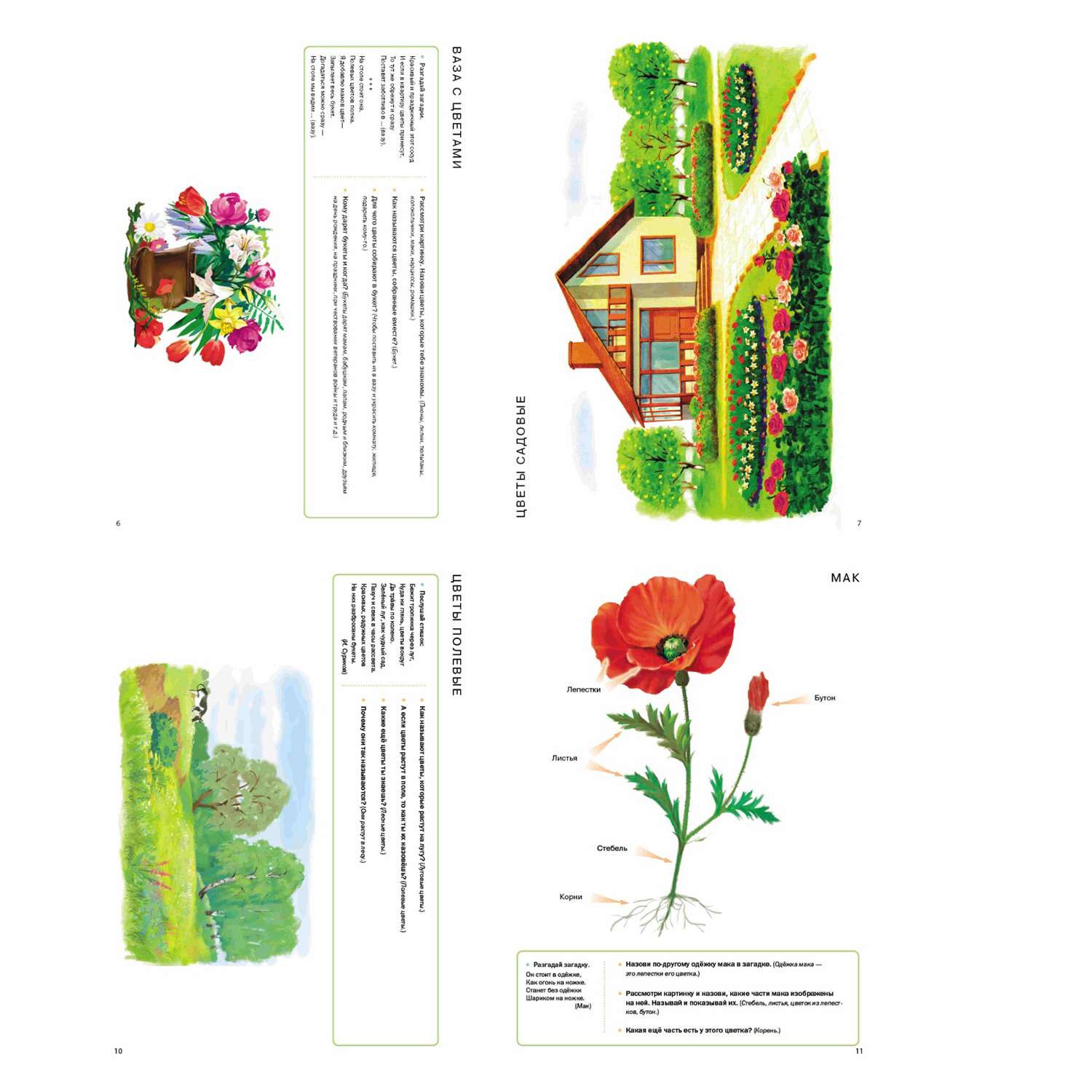 Книга Школьная Книга Цветы Деревья Мир растений и грибов Тематический материал с вопросами - фото 2