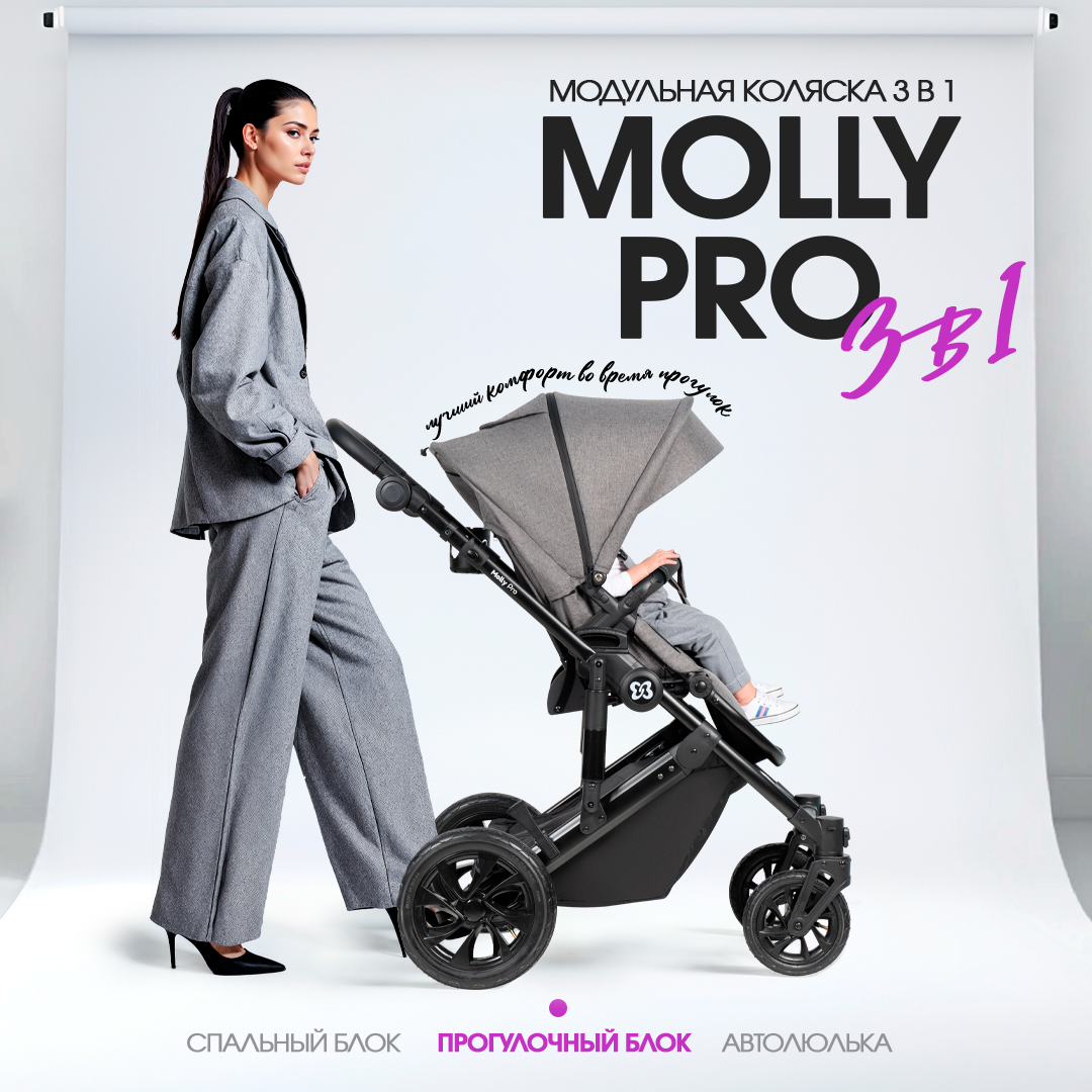 Коляска 3в1 Farfello Molly Pro - фото 2