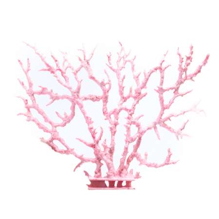 Декорация PennPlax Коралл 18см Розовый-Белый DC2PW