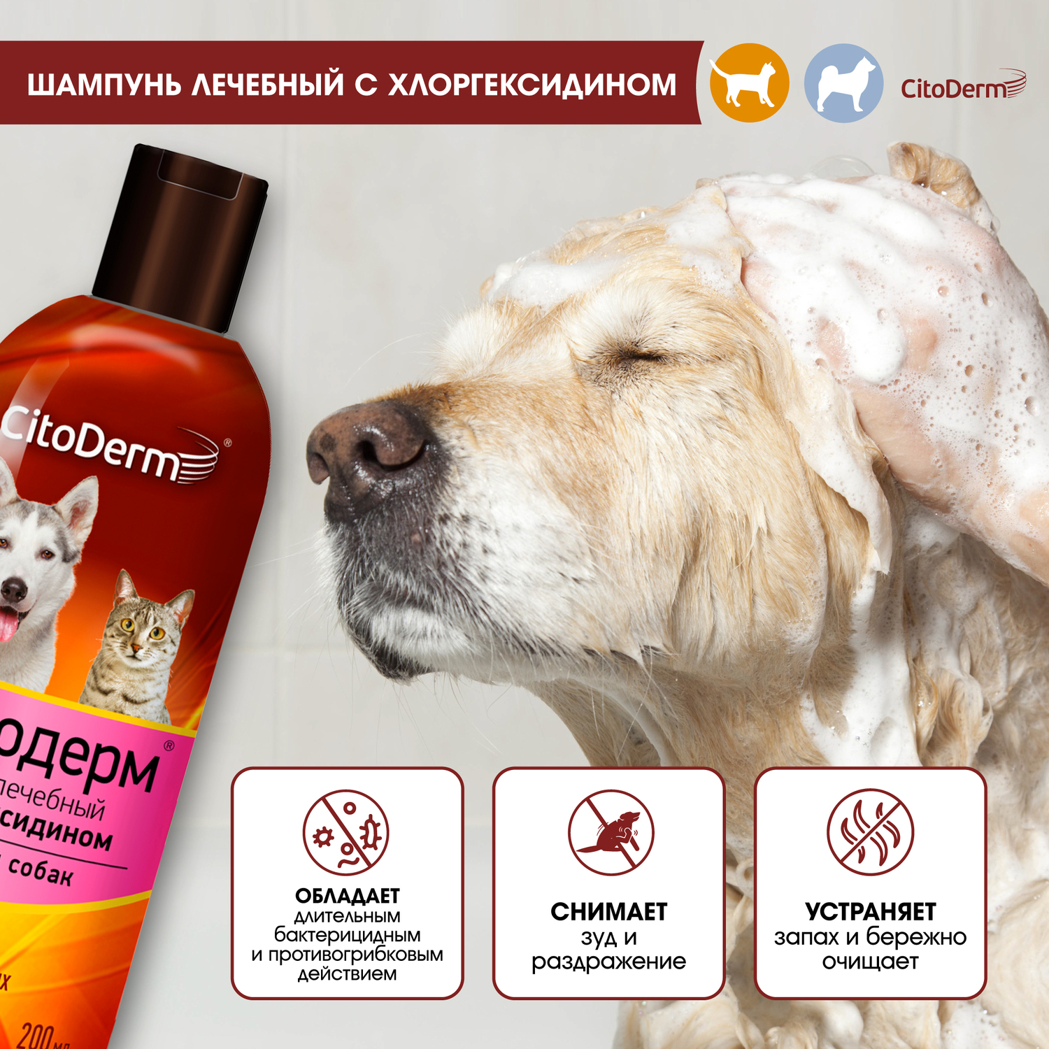 Шампунь для животных CitoDerm с хлоргексидином 200мл - фото 4