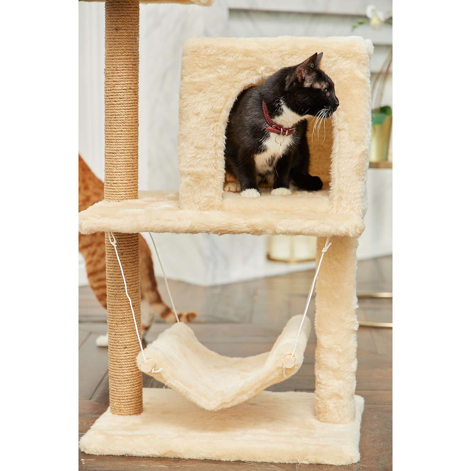 Когтеточка для кошек с домиком БРИСИ Бежевый - фото 6