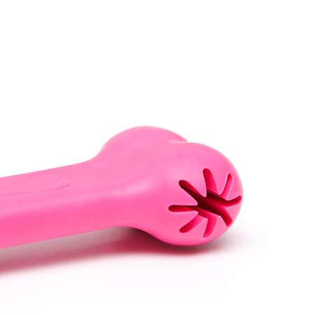 Игрушка Пижон жевательная «Вкусная кость» с отверстиями для лакомств TPR 11 см розовая