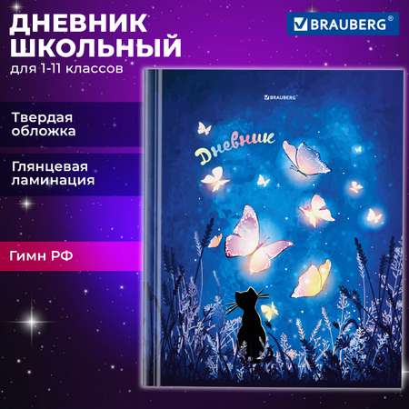 Дневник школьный Brauberg для 1-11 классов для мальчика 48 листов