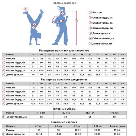 Толстовка Nota Bene