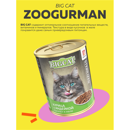 Корм влажный Зоогурман BIG CAT Sterilized с курицей и индейкой 350гр х 12 шт
