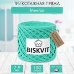 Трикотажная пряжа BISKVIT Ментол