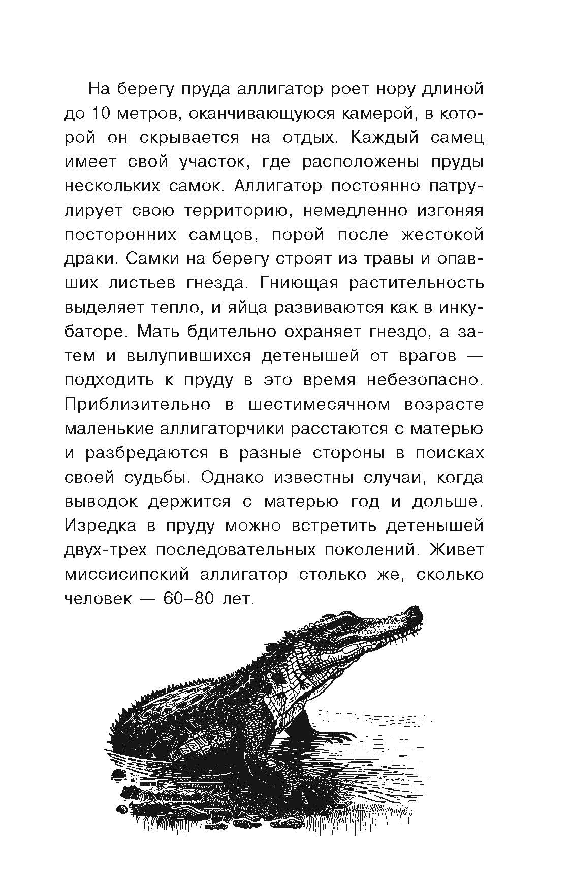 Энциклопедия Простая наука для детей 100 загадок живой природы - фото 5