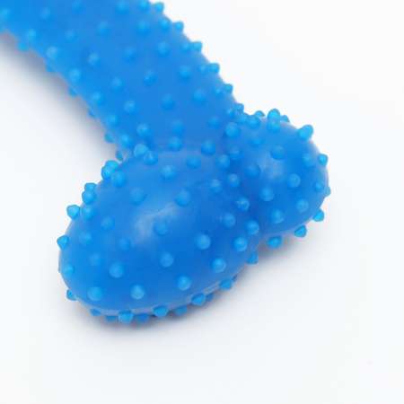 Игрушка Пижон жевательная суперпрочная «Любимое лакомство» 11 см синяя