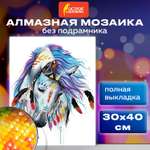 Алмазная мозаика Остров Сокровищ 30х40 см Индейская лошадь