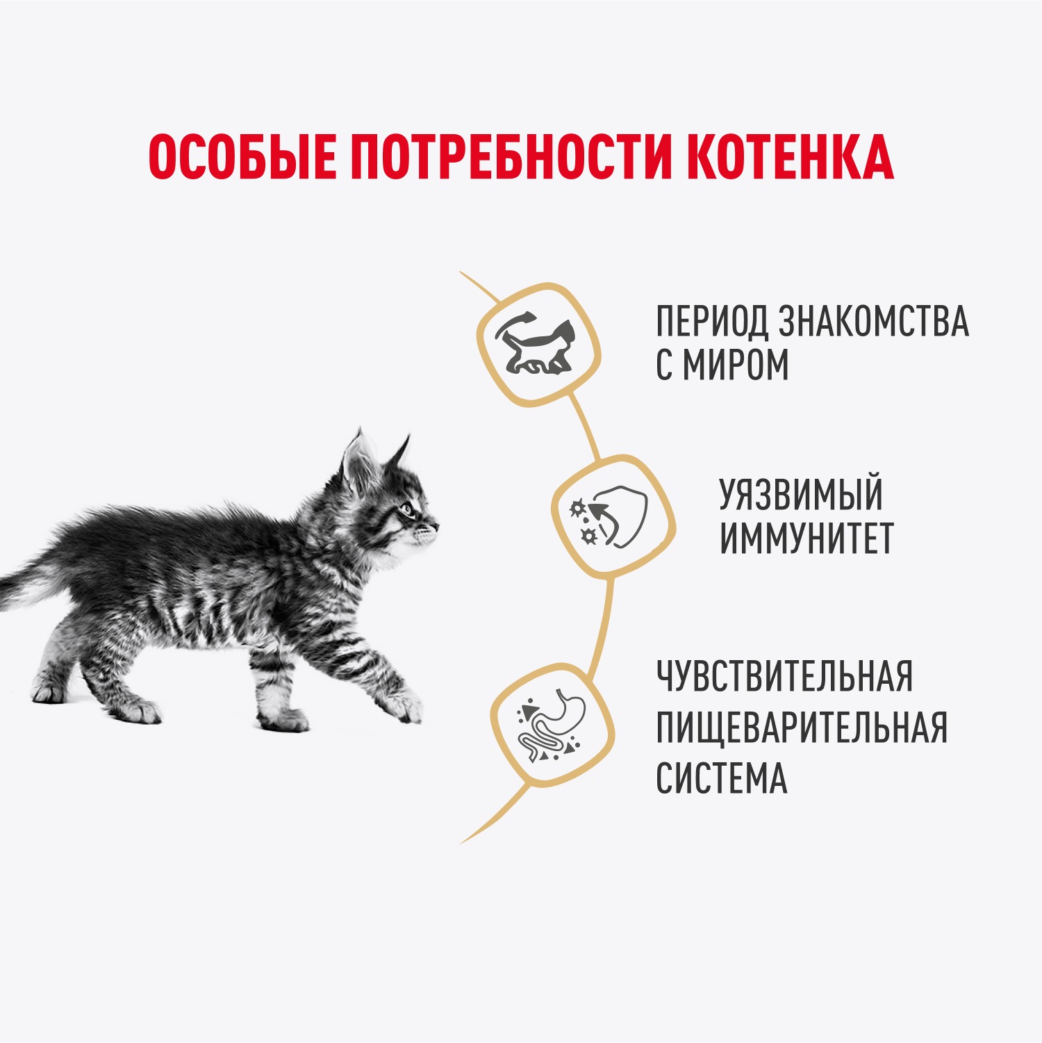 Влажный корм для кошек ROYAL CANIN кг (полнорационный) - фото 3